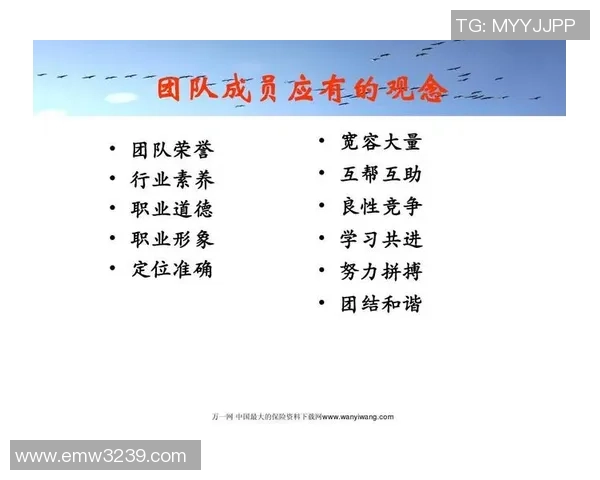武汉足球队的默契配合揭秘：从战术到团队精神的深度分析